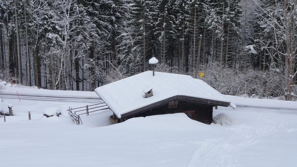 Almbruennerl Die Almhuette Auf Der Raffner Alm Ruhpolding Room photo